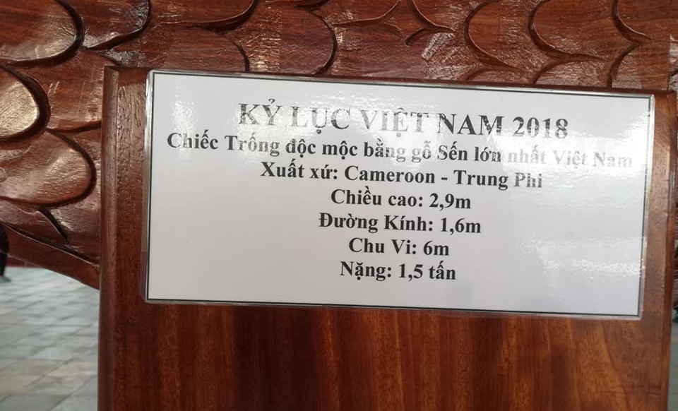 chiem-nguong-chiec-trong-duoc-xac-lap-ky-luat-viet-nam