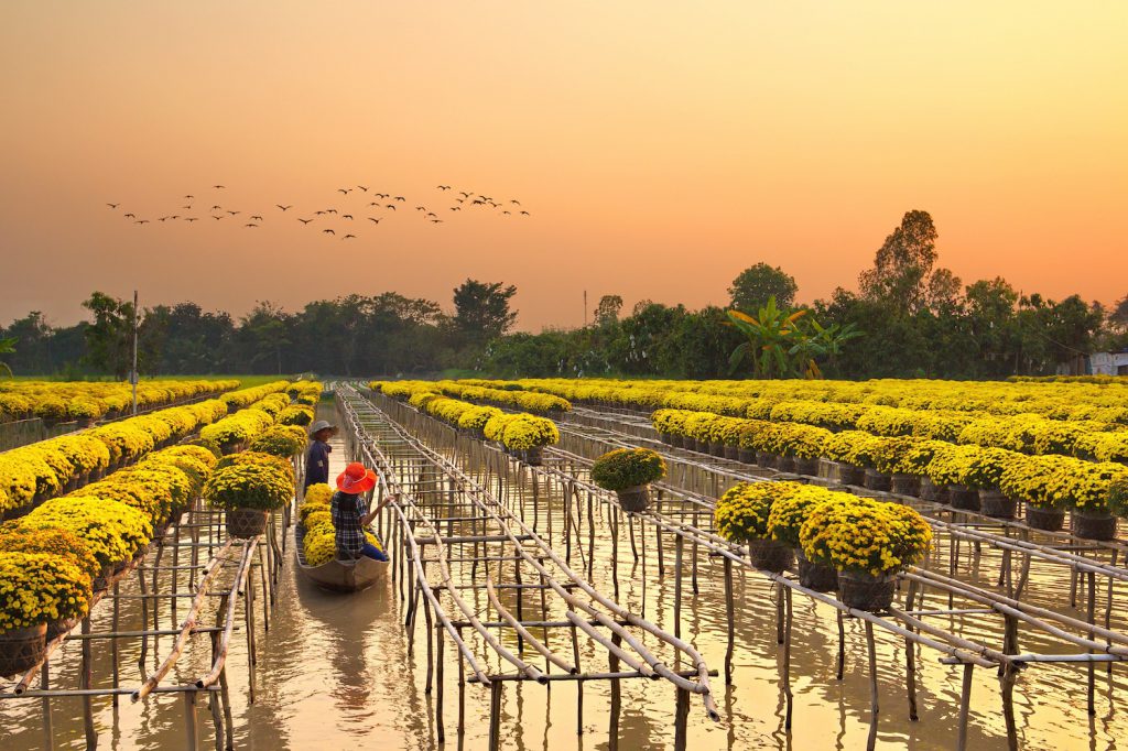 5-dia-diem-du-lich-mien-tay-nhat-dinh-phai-ghe-mot-lan